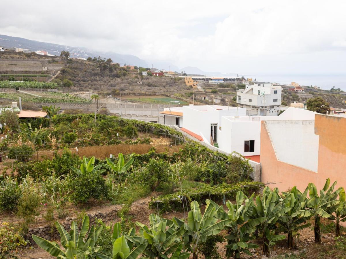 Live Icod Buen Paso Apartment Icod De Los Vinos Bagian luar foto